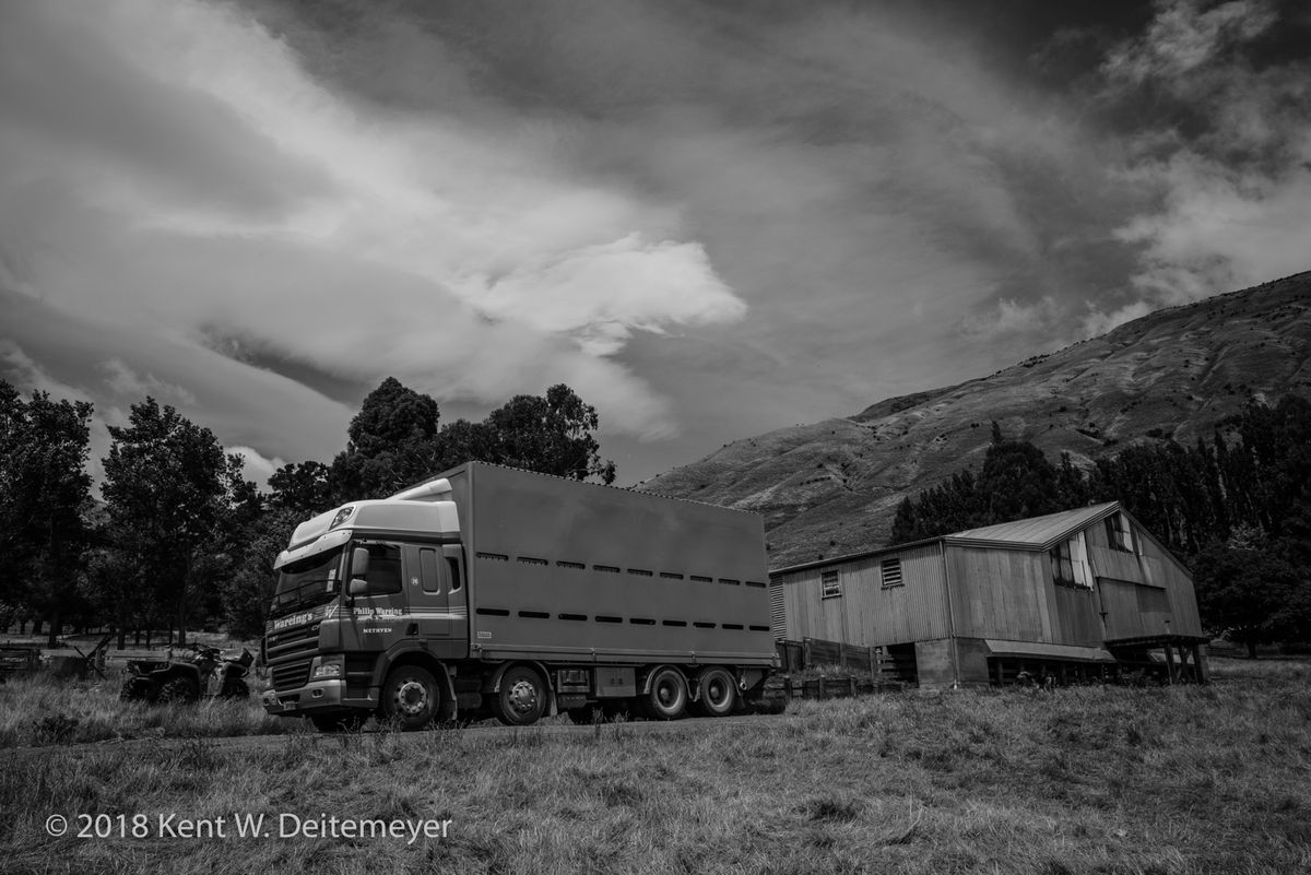 Glenariffe_B&W_19_Dec_2017_(13_of_24).jpg