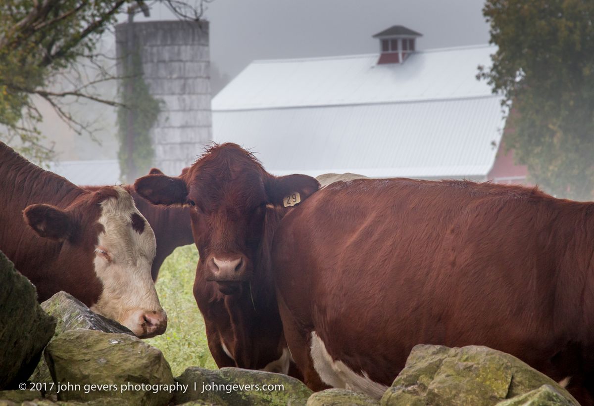 New England 2016-365.jpg