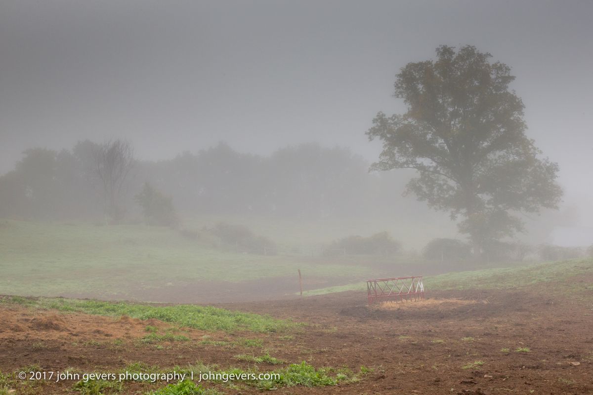 Foggy Morning