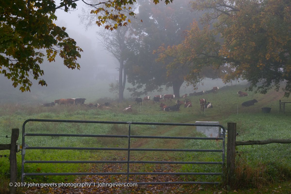 New England 2016-259.jpg