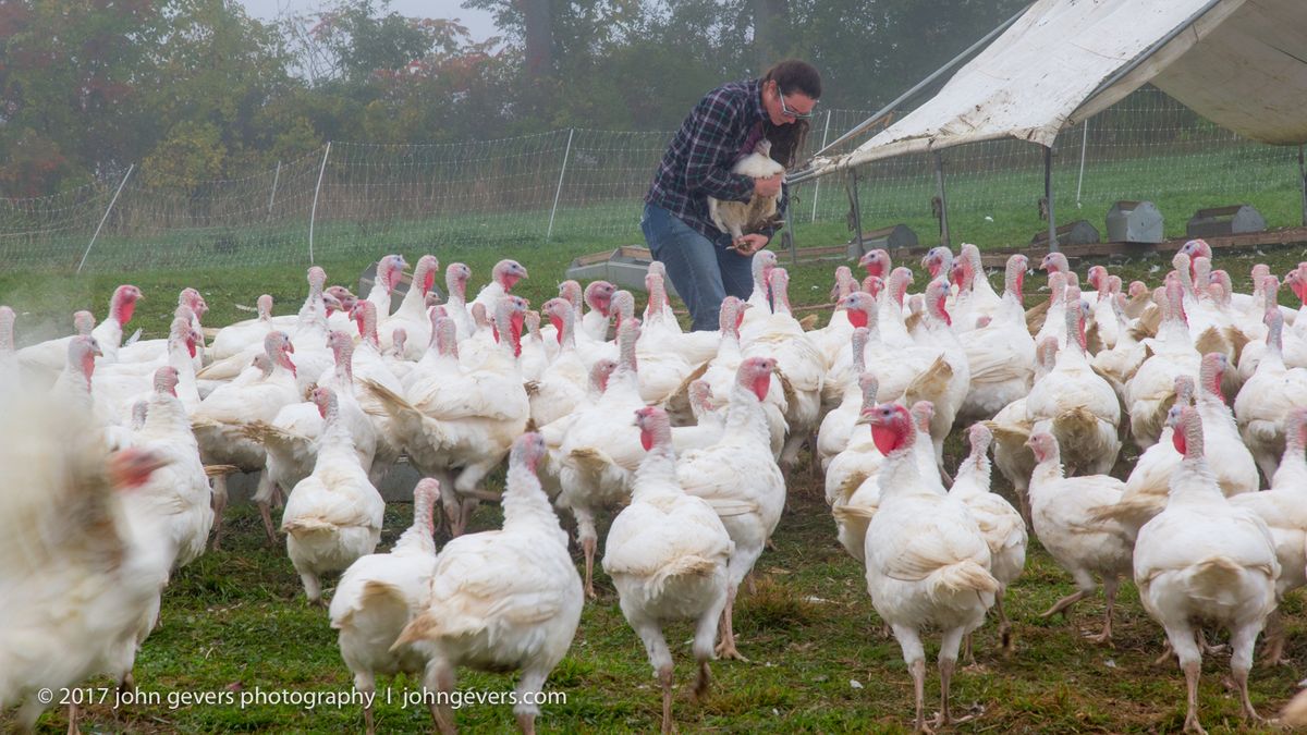 New England 2016-329.jpg