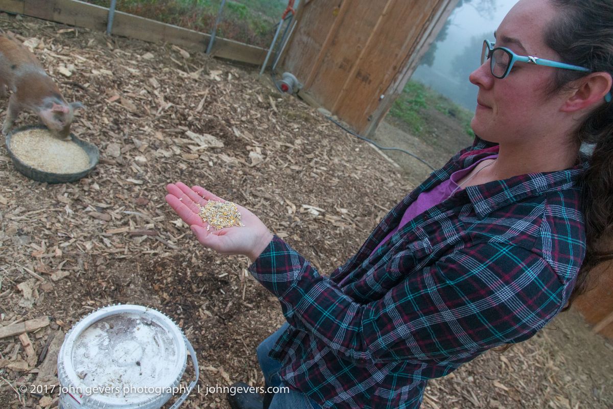 New England 2016-272.jpg