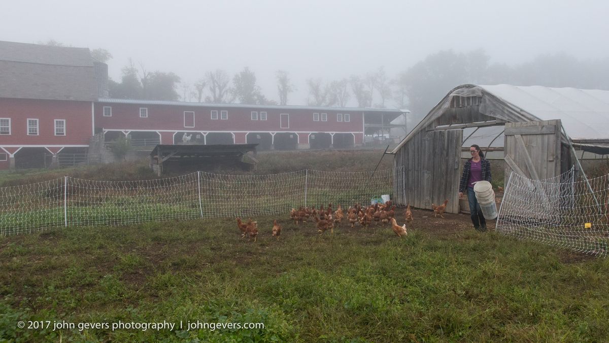 New England 2016-281.jpg