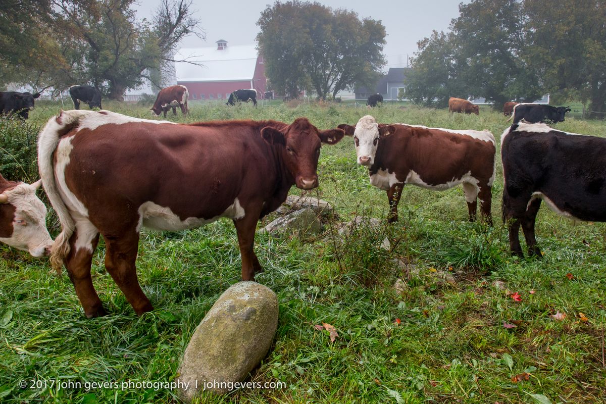 New England 2016-361.jpg