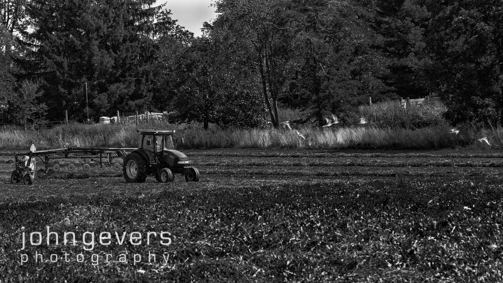 WoodFarmRaking-24-Edit.jpg