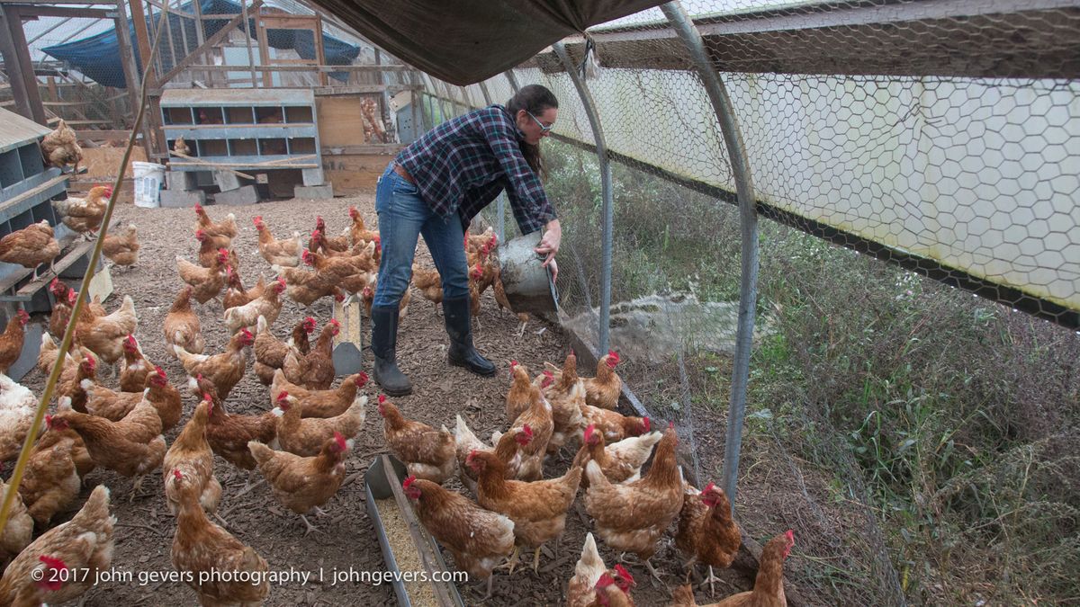 New England 2016-316.jpg