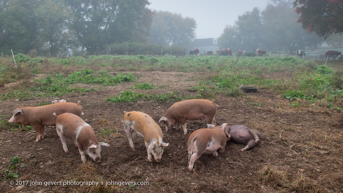 New England 2016-353.jpg