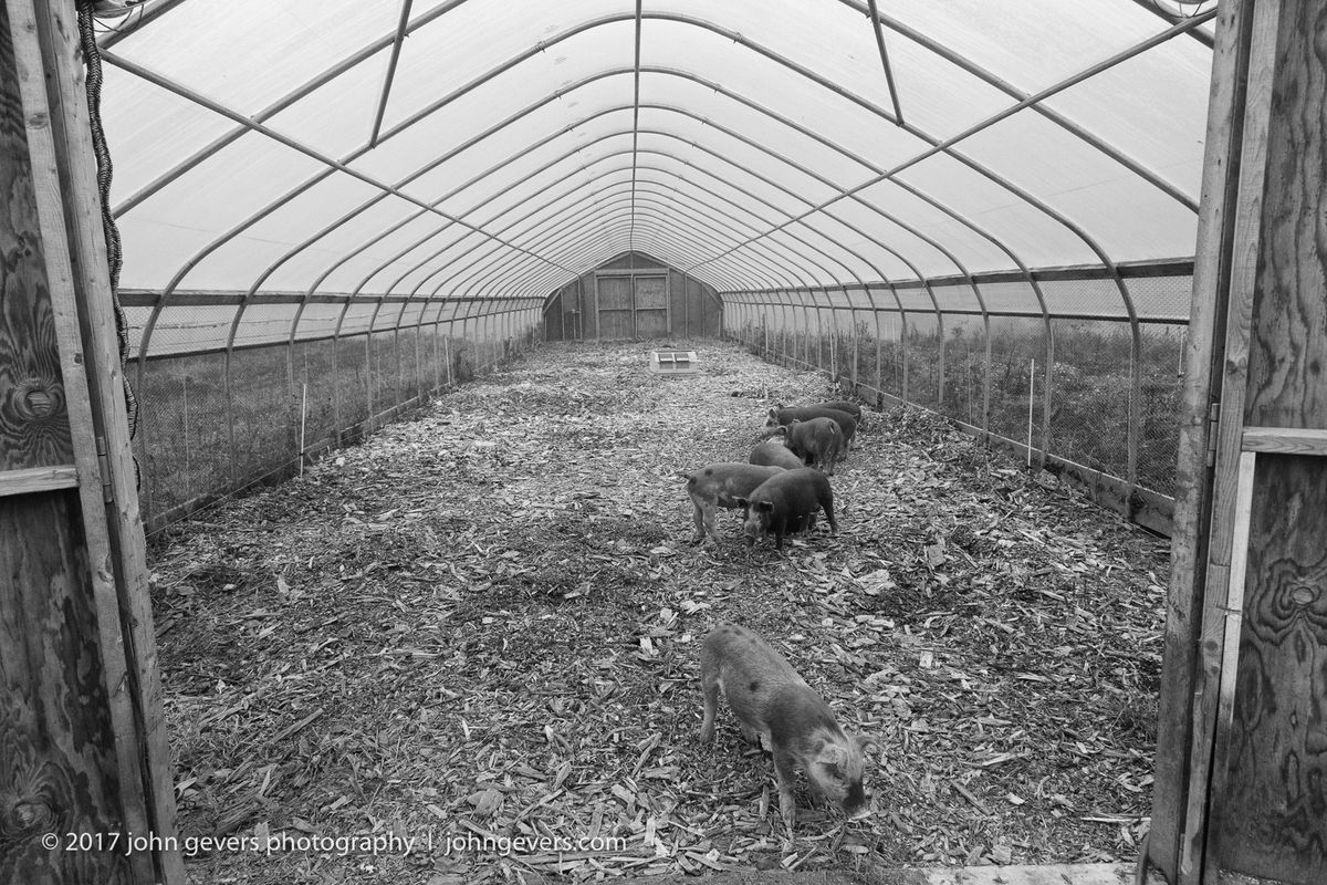 New England 2016-279-Edit.jpg