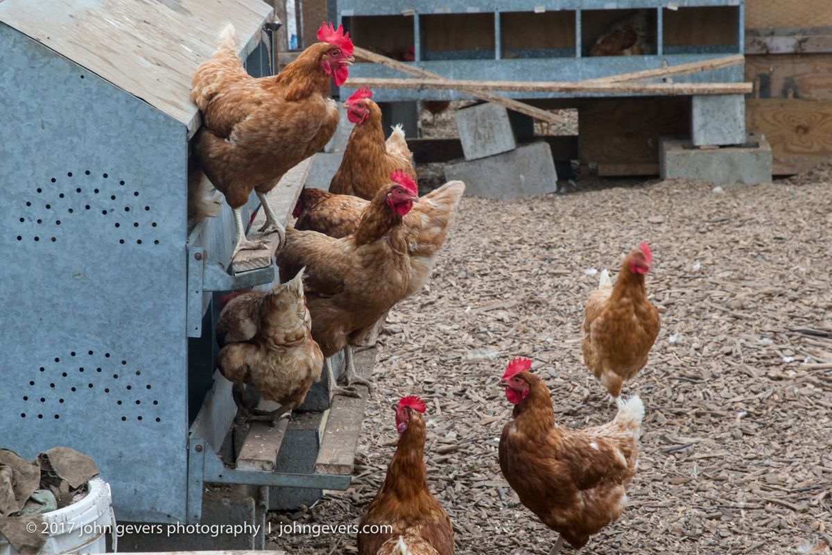 New England 2016-350.jpg