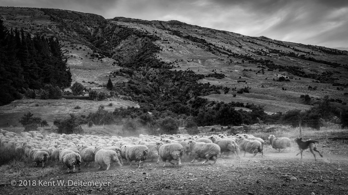 Glenariffe_B&W_19_Dec_2017_(3_of_24).jpg