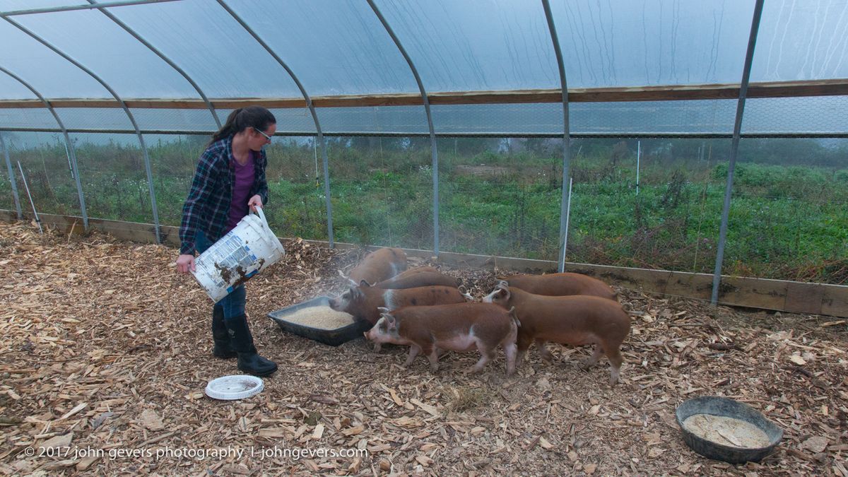 New England 2016-268.jpg