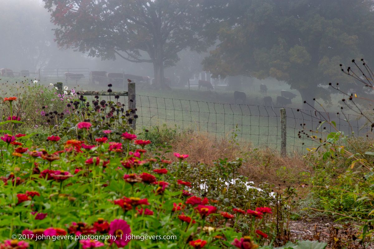 New England 2016-377.jpg