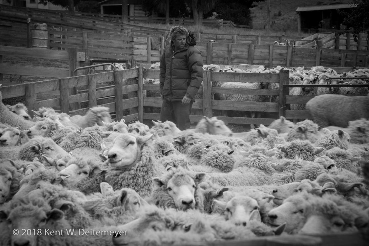 Glenariffe_B&W_19_Dec_2017_(4_of_24).jpg