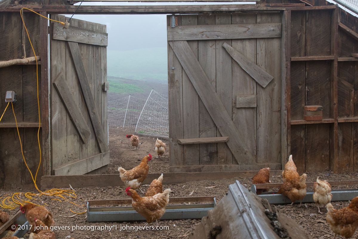 New England 2016-319.jpg