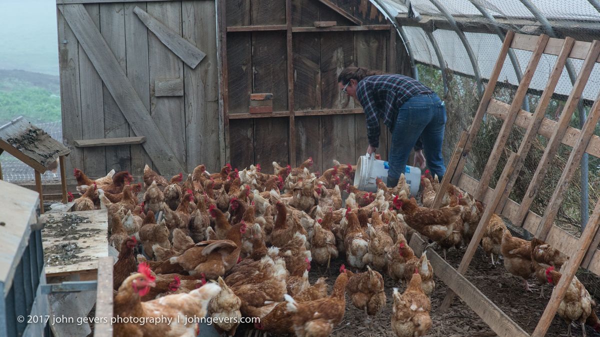 New England 2016-296.jpg