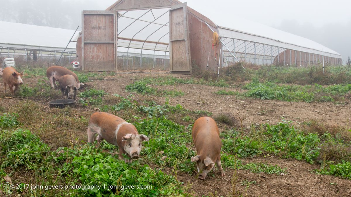 New England 2016-369.jpg