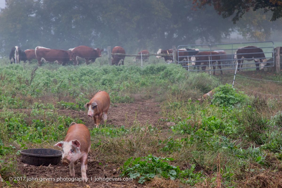 New England 2016-357.jpg