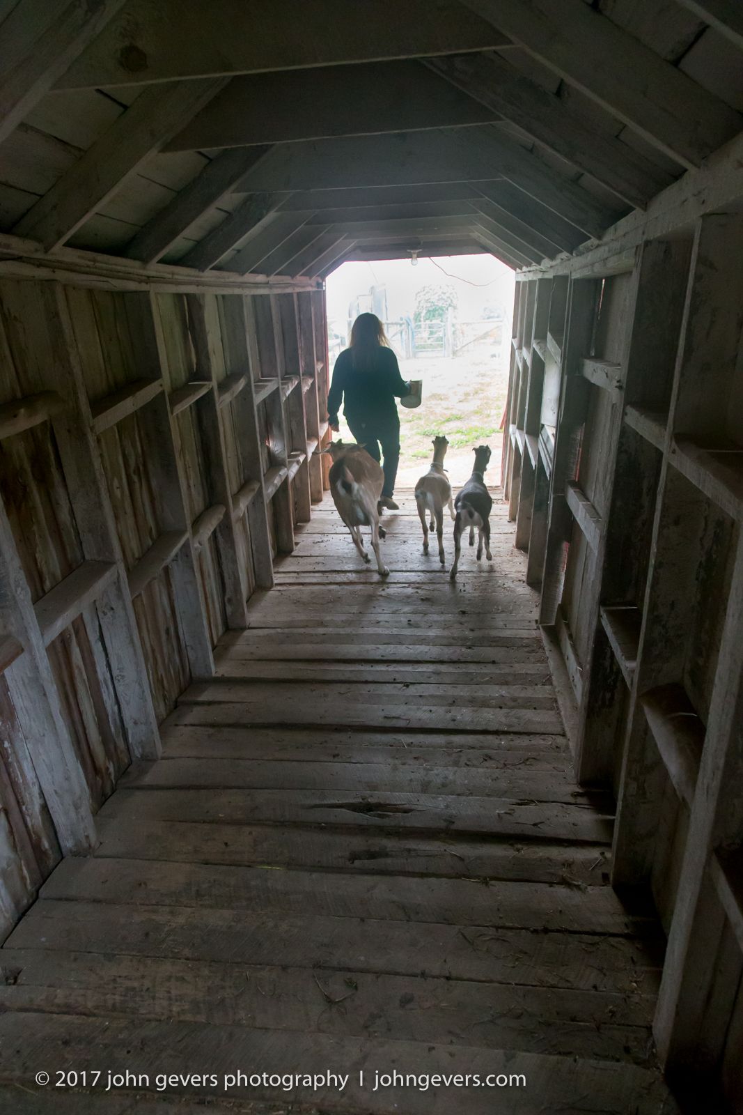 New England 2016-399.jpg