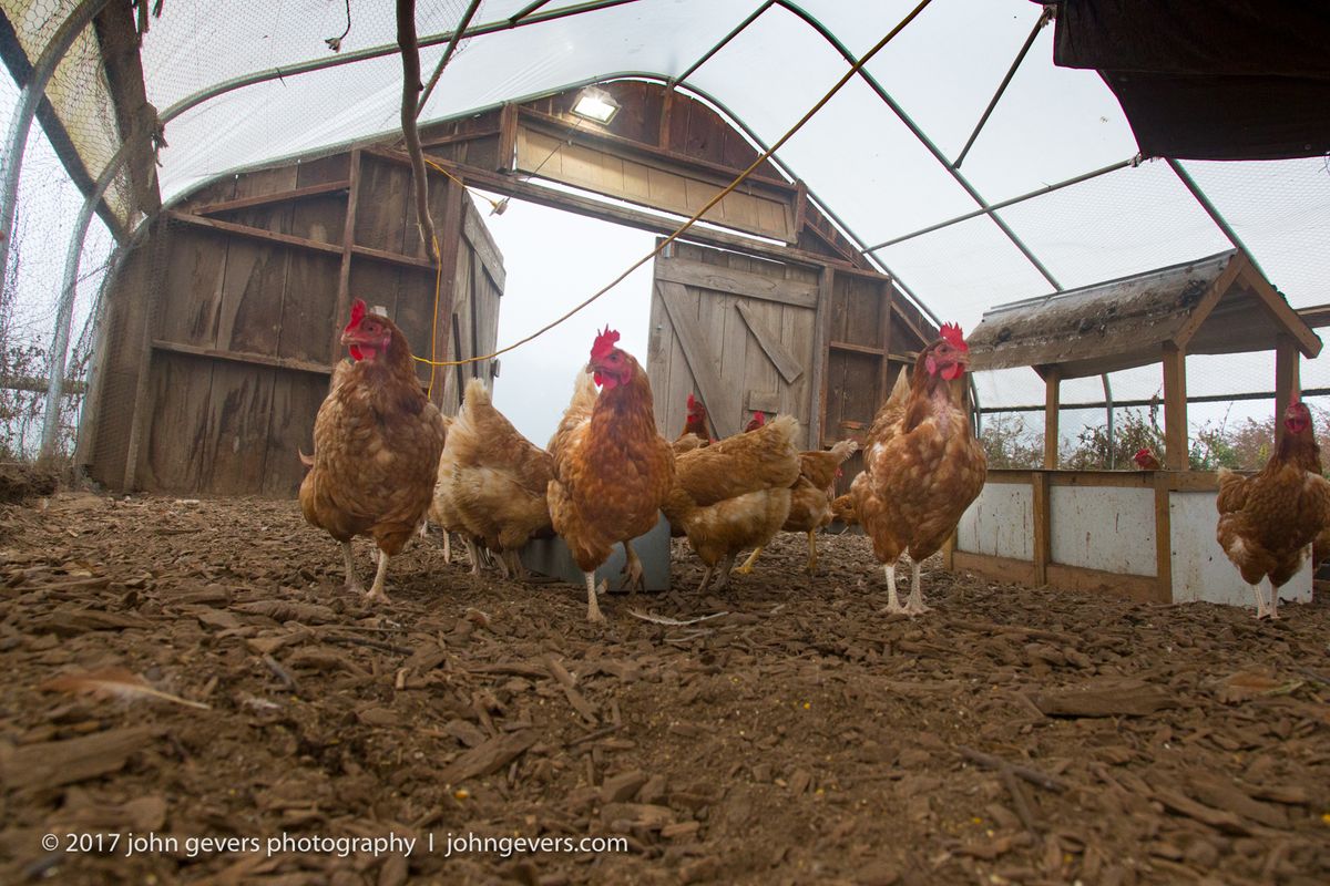 New England 2016-310.jpg