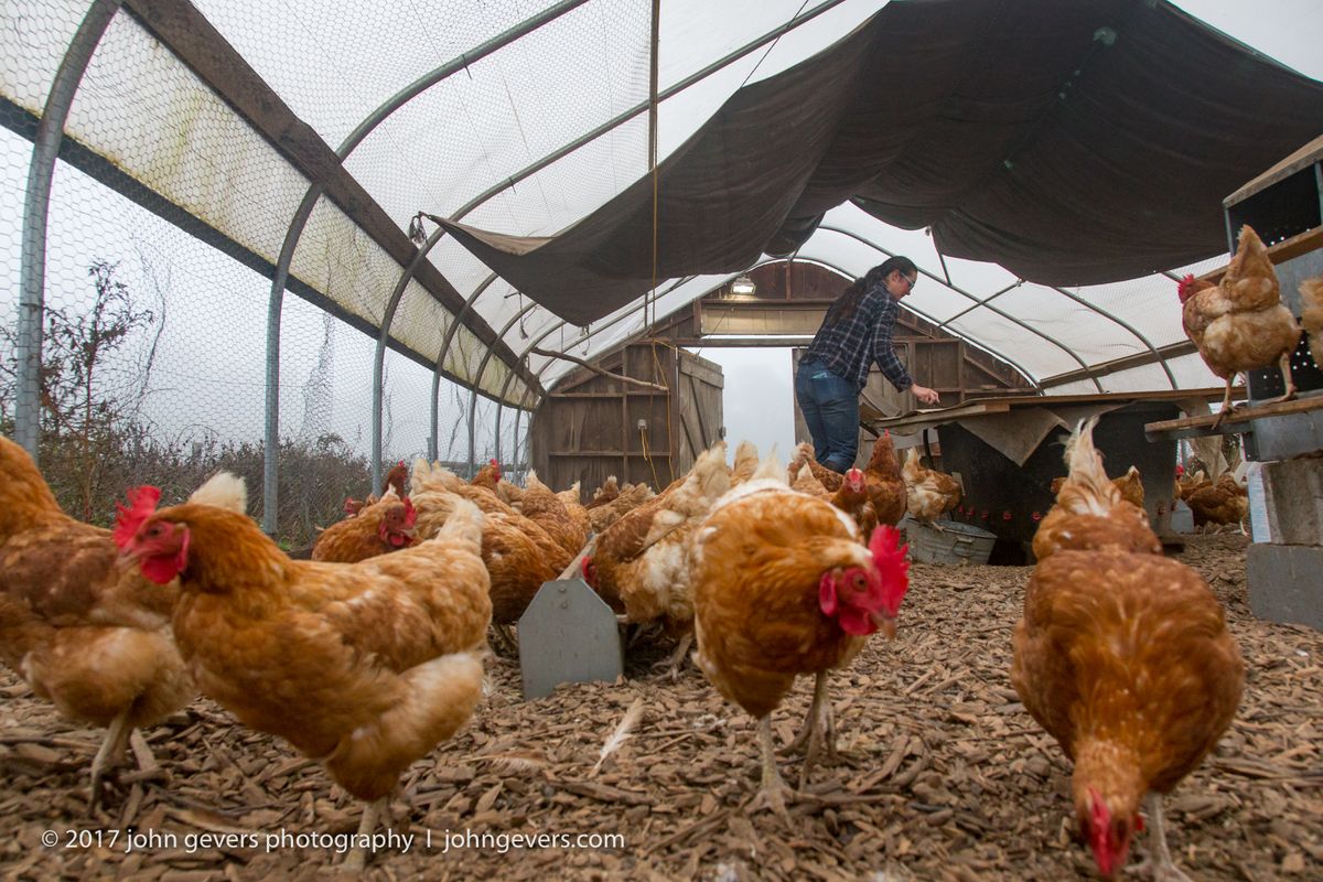 New England 2016-305.jpg