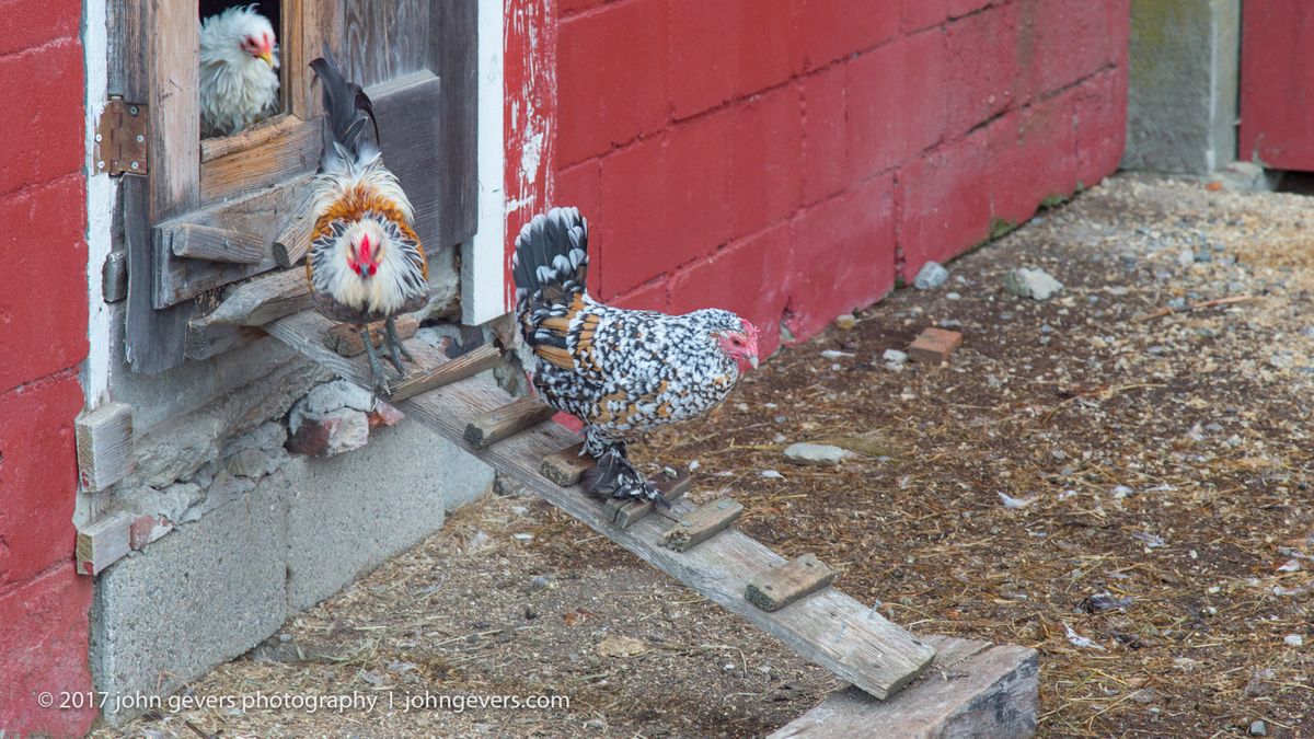 New England 2016-382.jpg