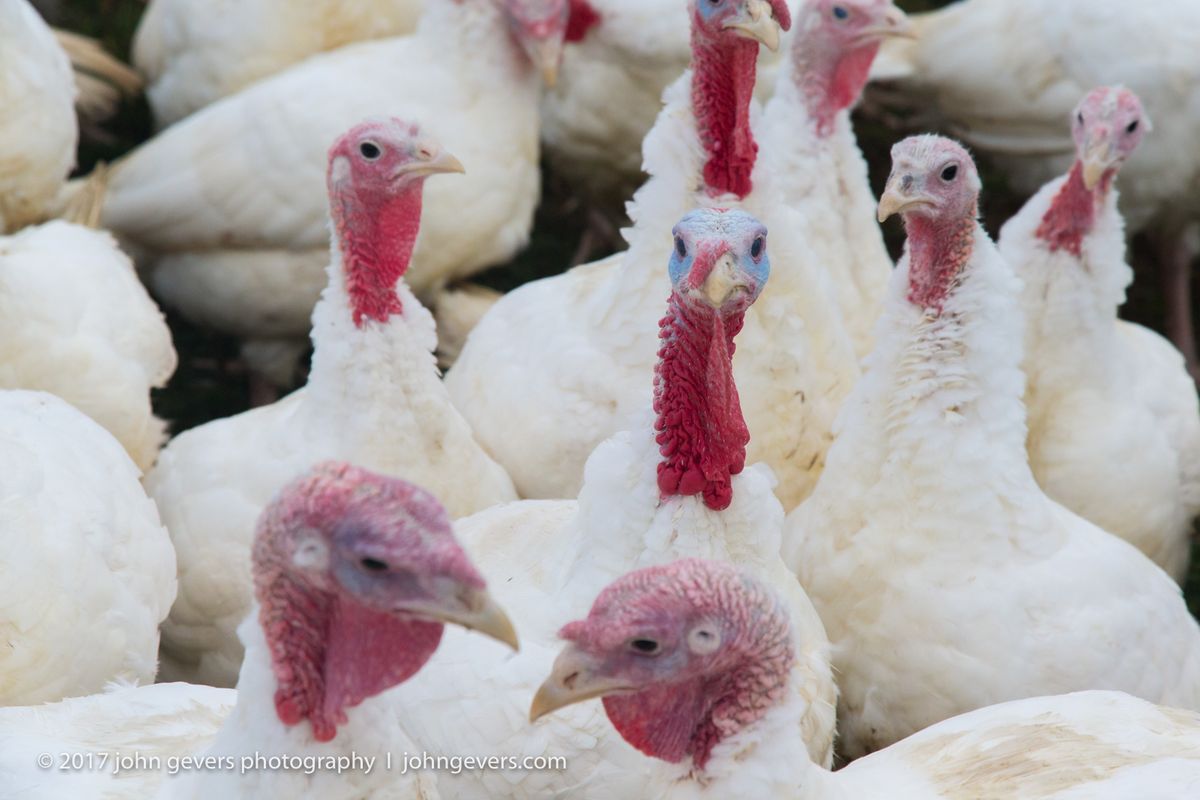 New England 2016-337.jpg