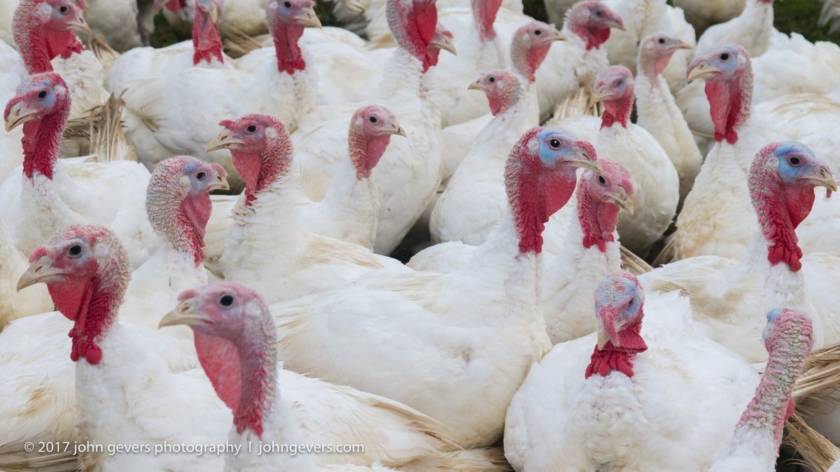 New England 2016-340.jpg