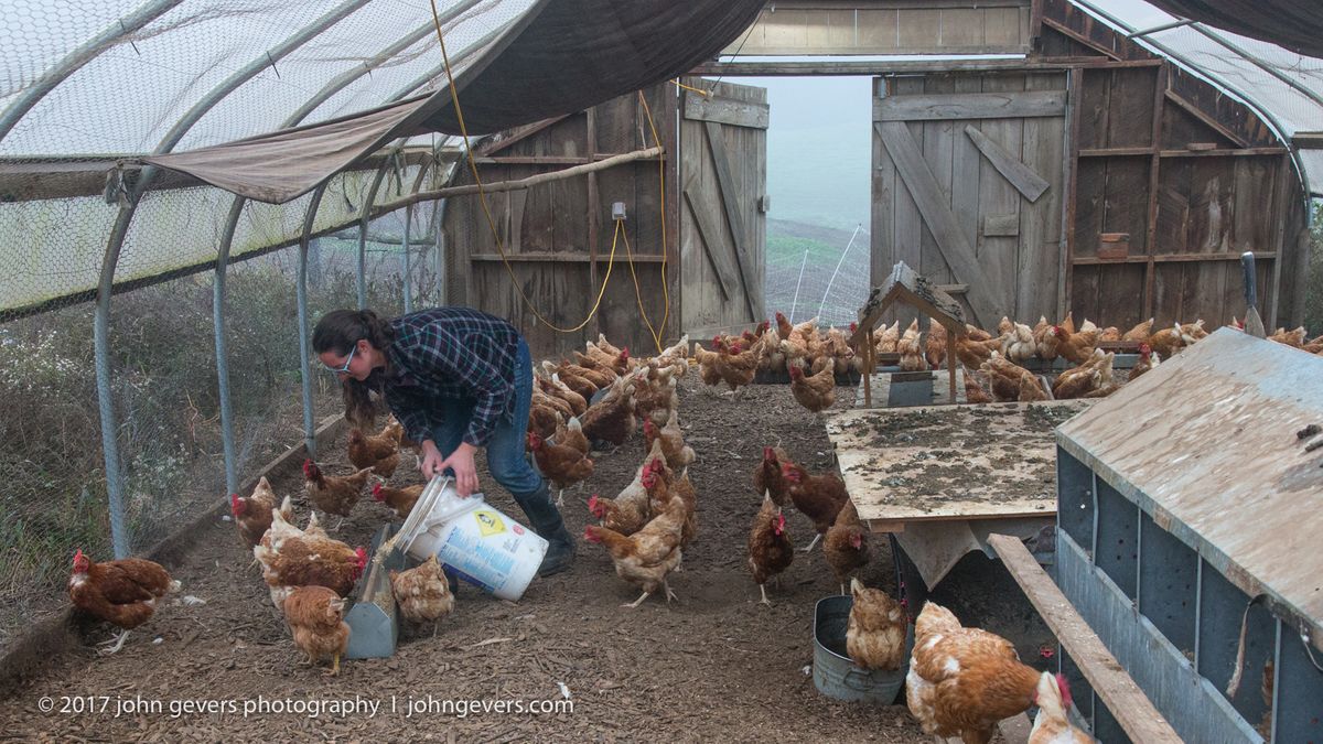 New England 2016-299.jpg