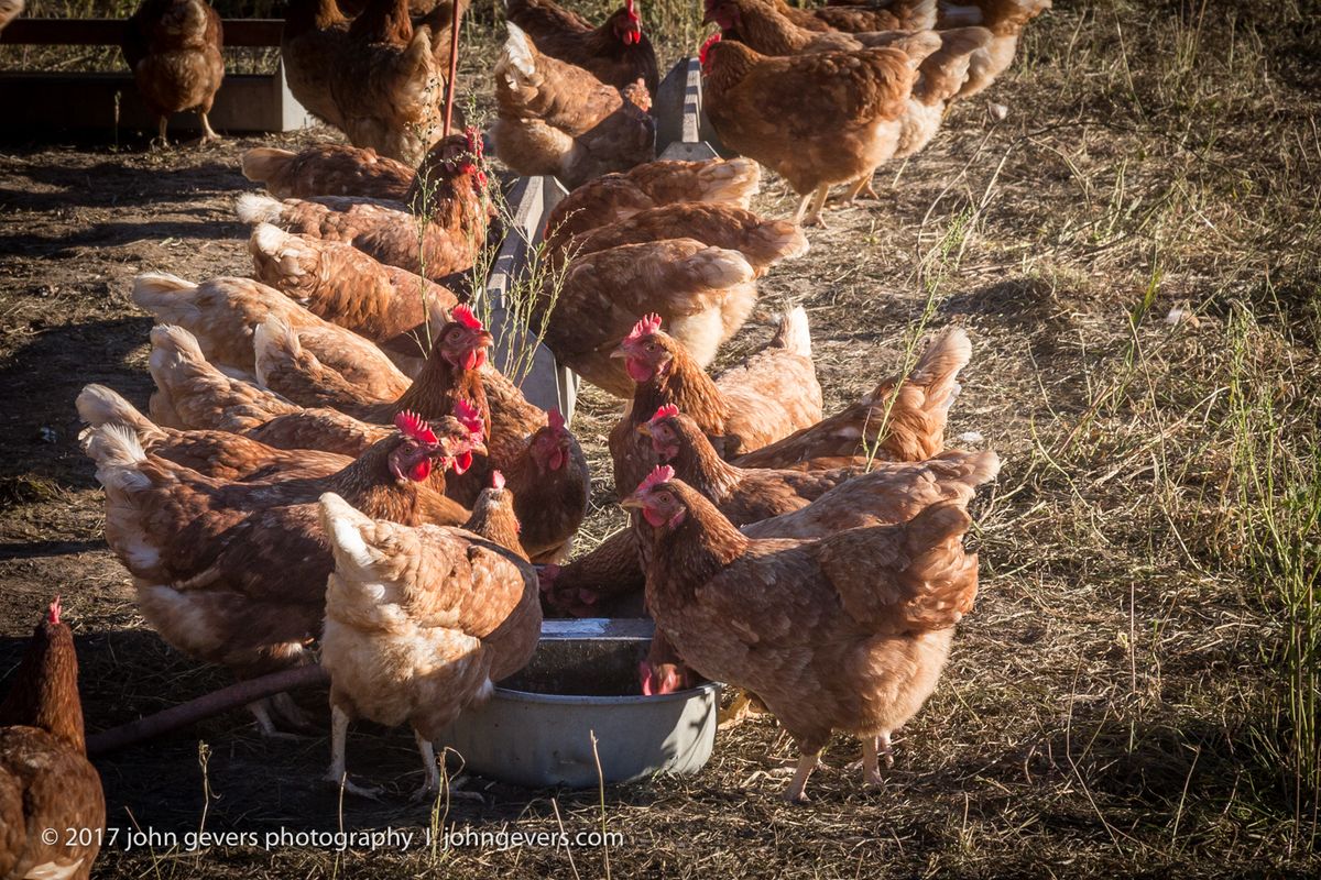 New England 2016-235.jpg