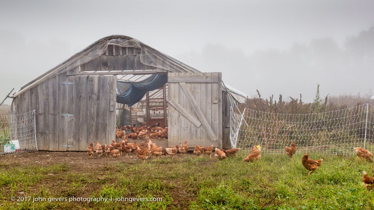 New England 2016-372.jpg