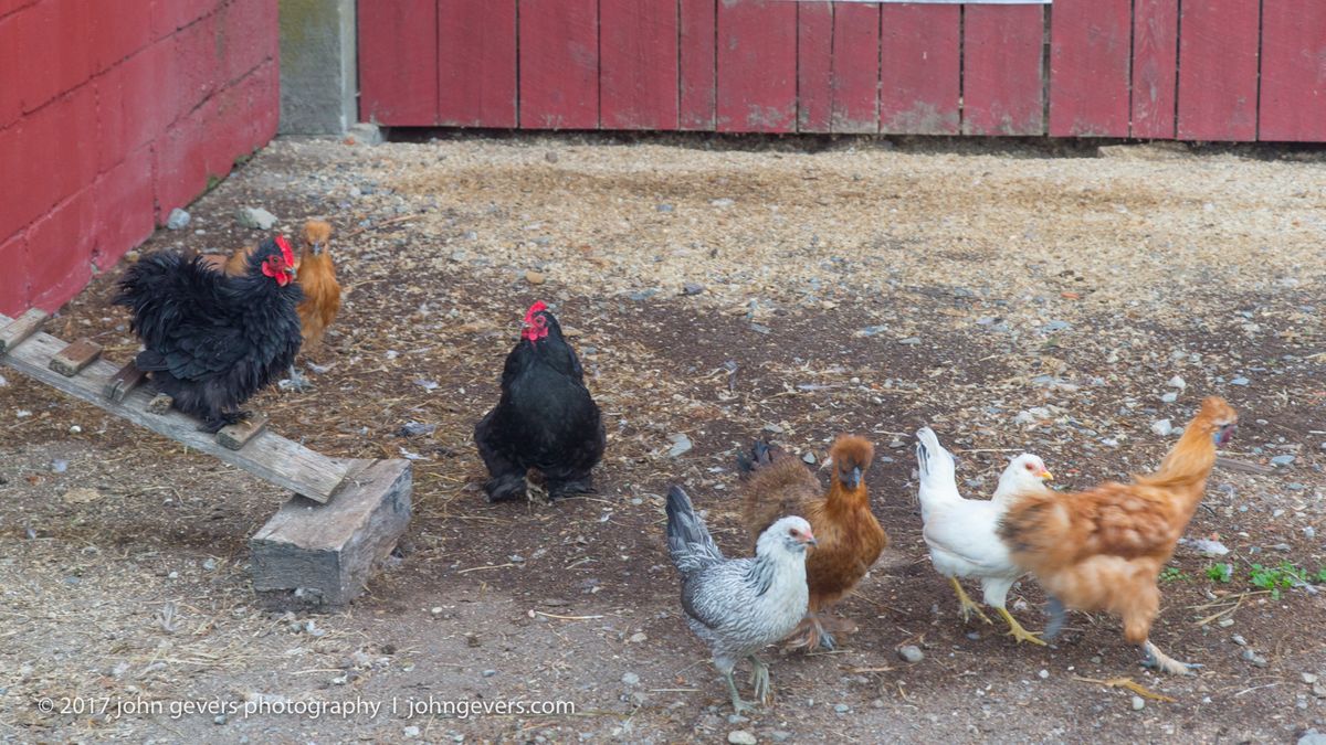 New England 2016-378.jpg