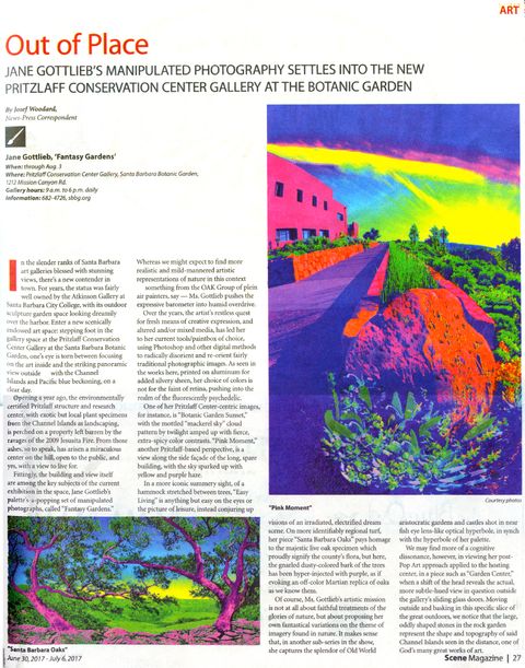 Gottlieb-NP sbbg review sm.jpg