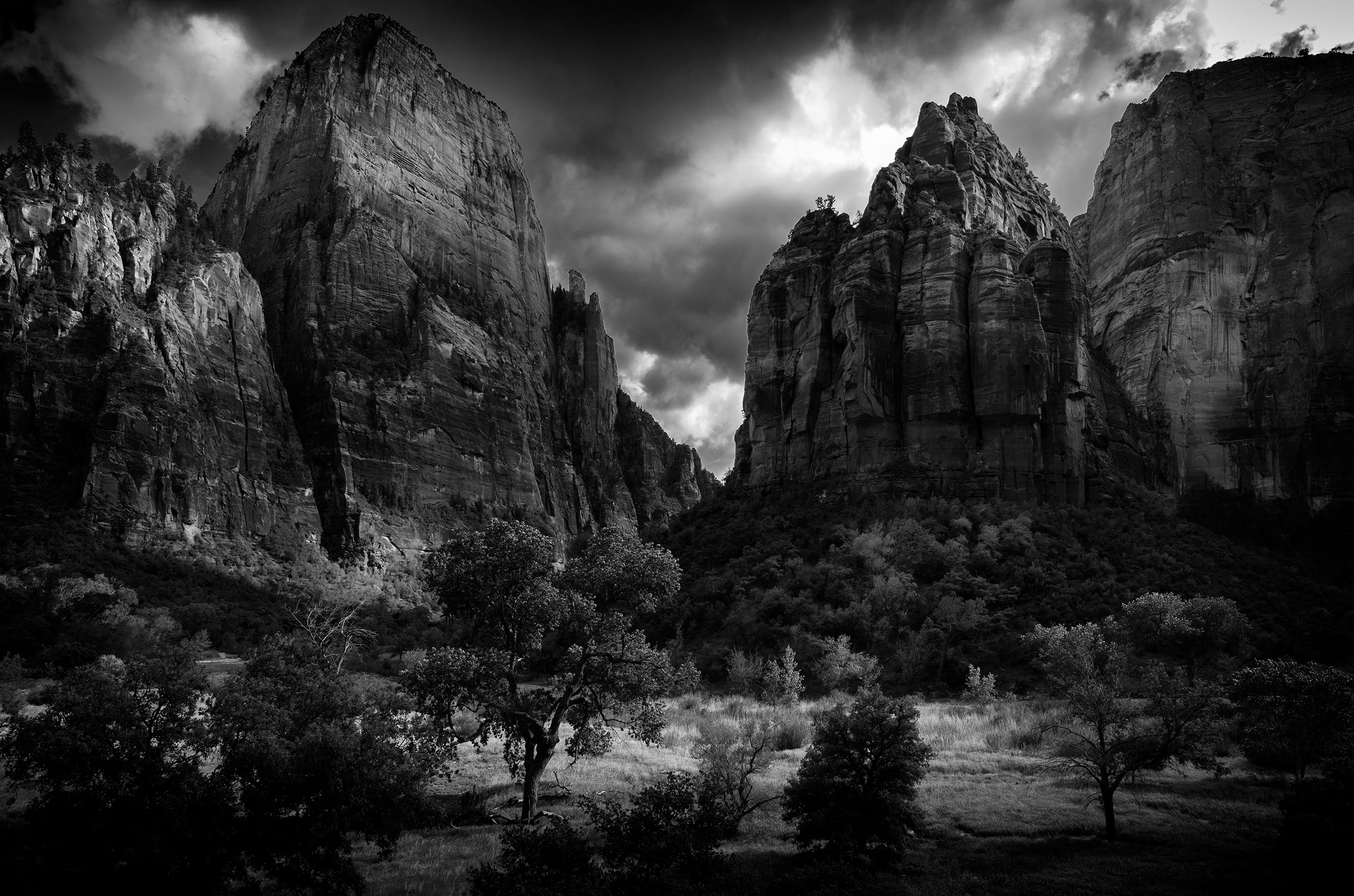 33_0096bw_0120_zion_utah_may2016_L1025780.jpg
