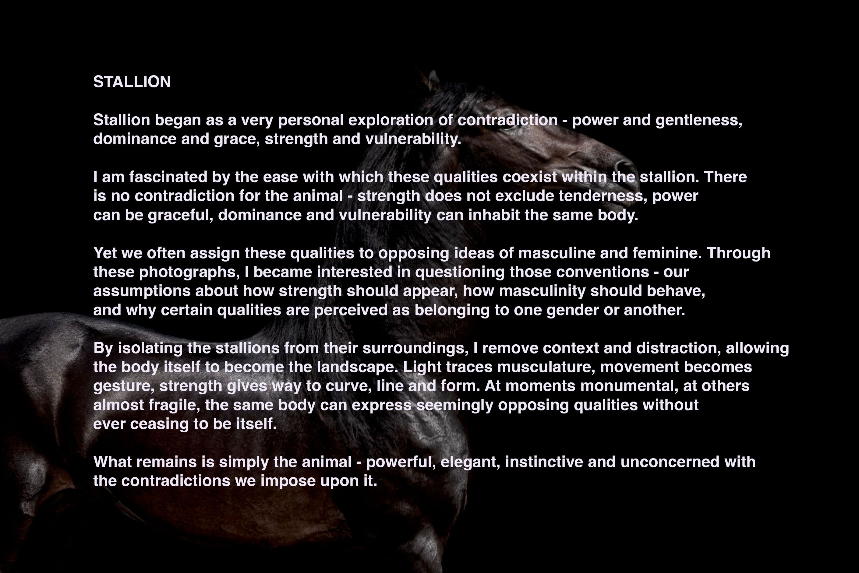 STALLION Artist Statement.jpg