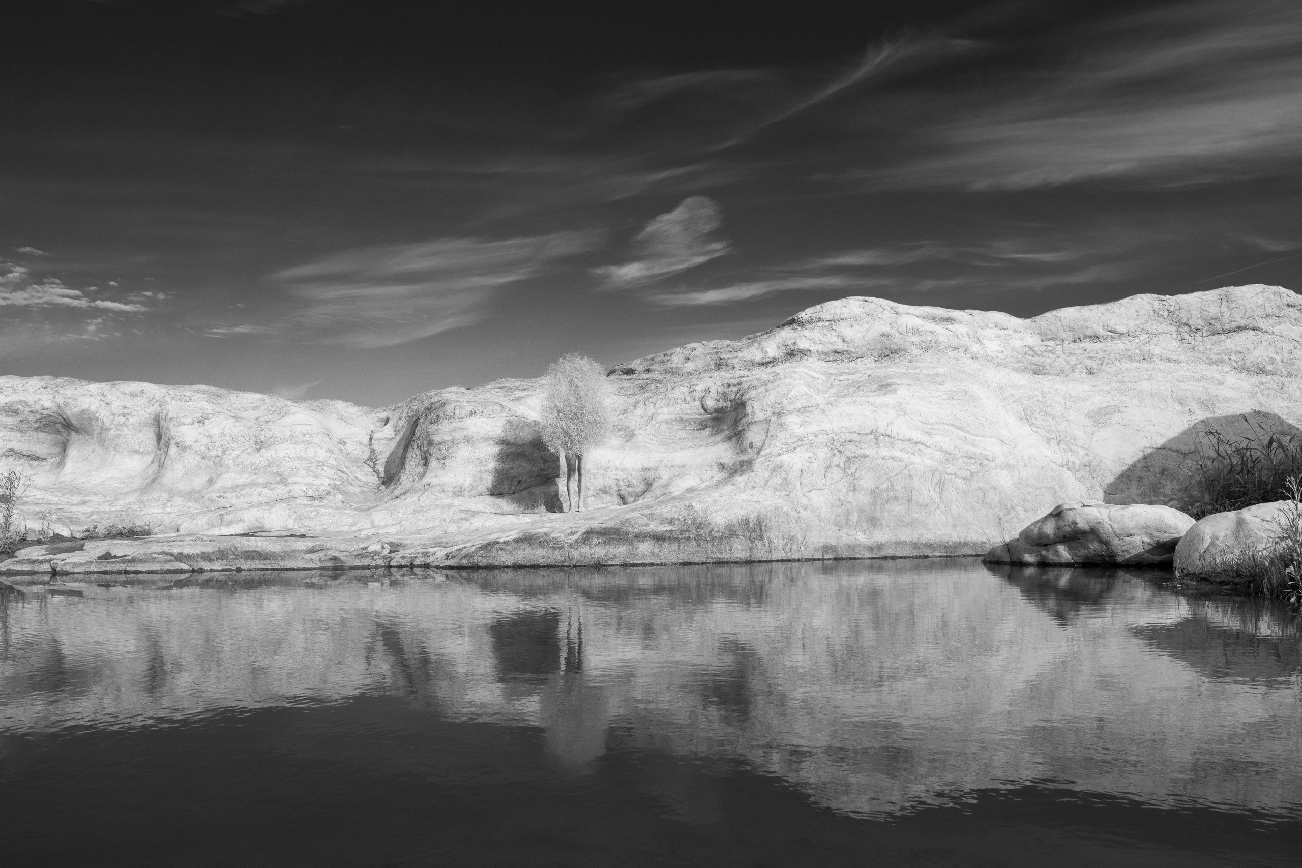 DSC_6650.jpg