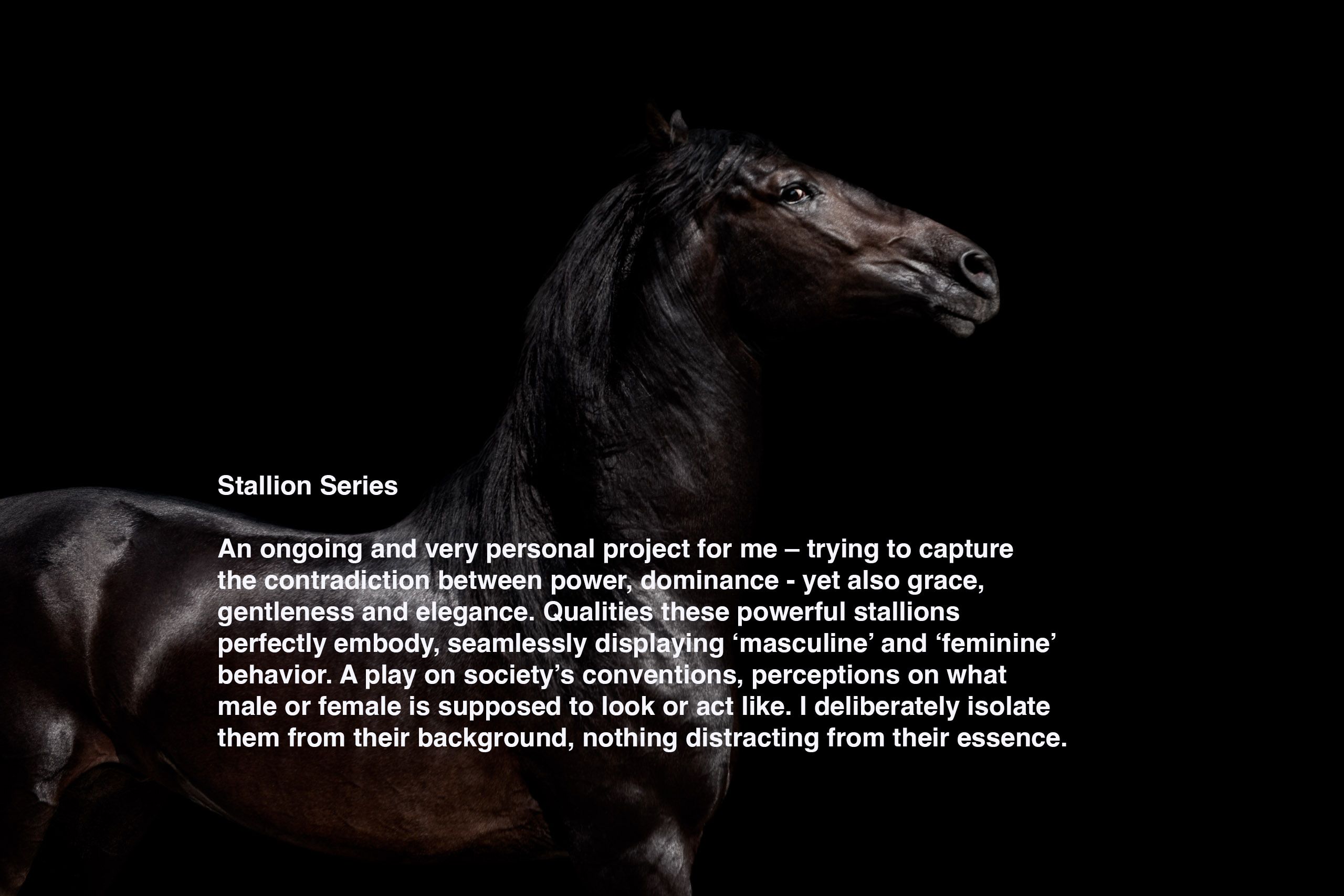 Stallion Statement.jpg