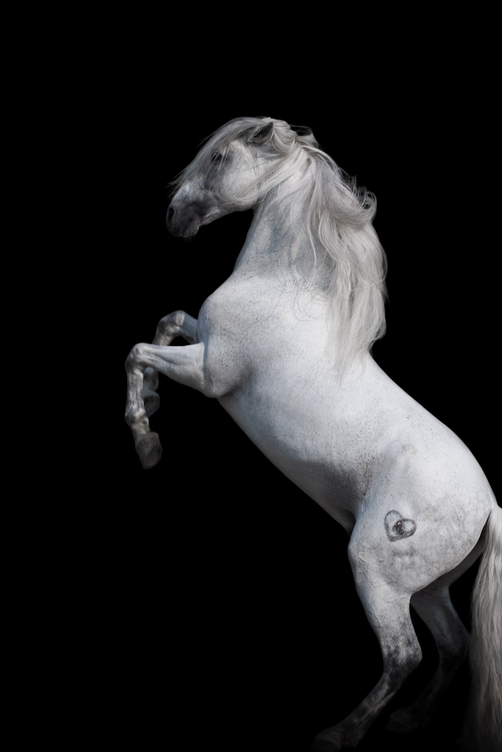 _KFP3970_CC R3 - Version 3.jpg