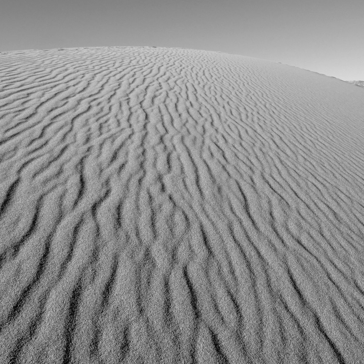 IMG_7932_sq_bnw.jpg