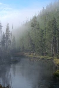 IMG_5798.jpg