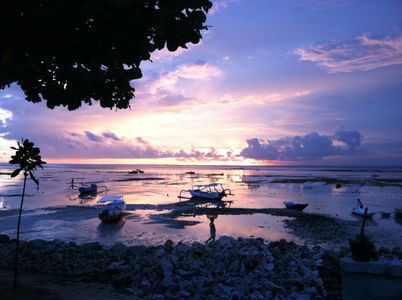 seaweedfarmsindo.JPG