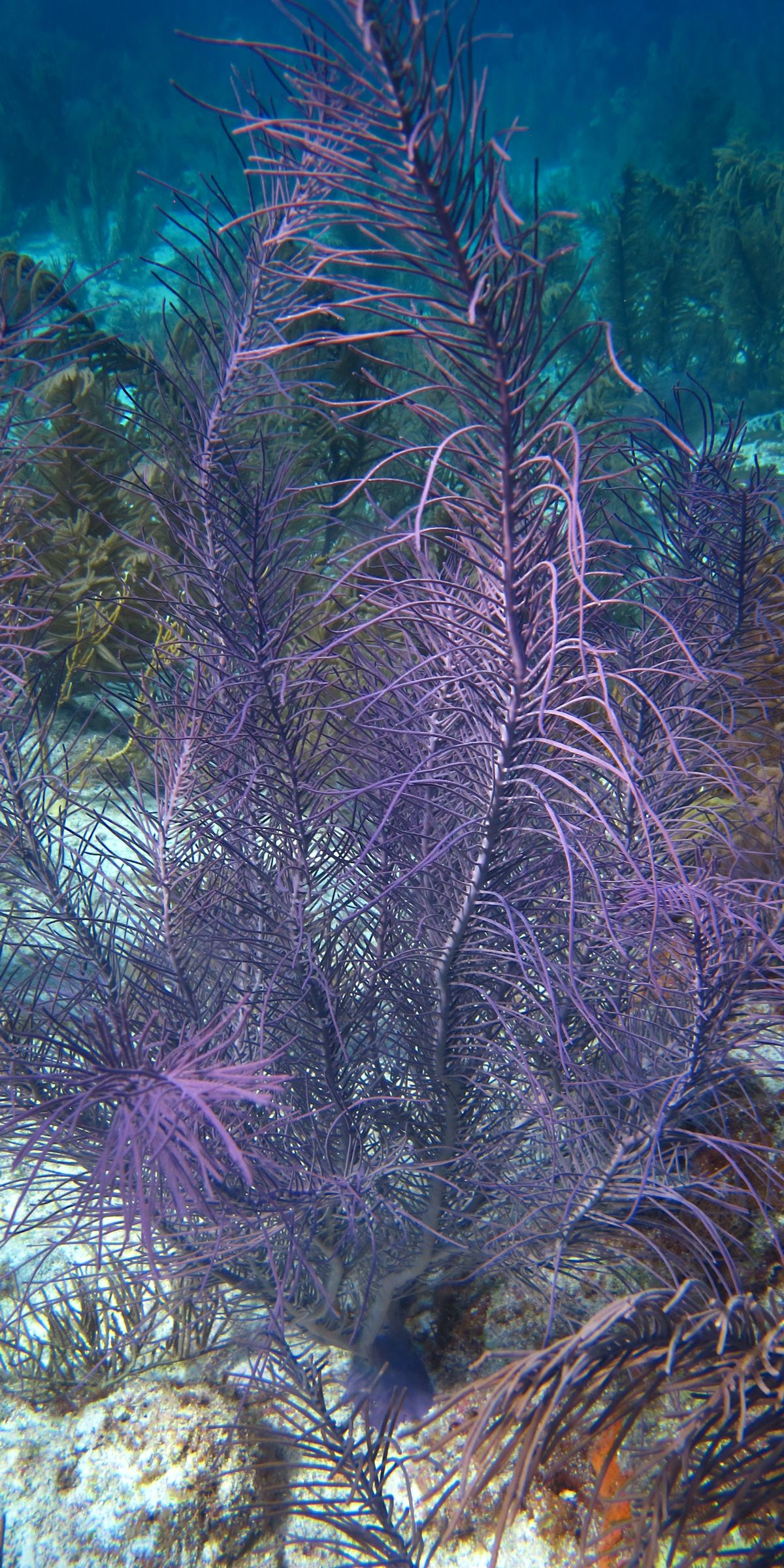 IMG_8262_12x24.jpg