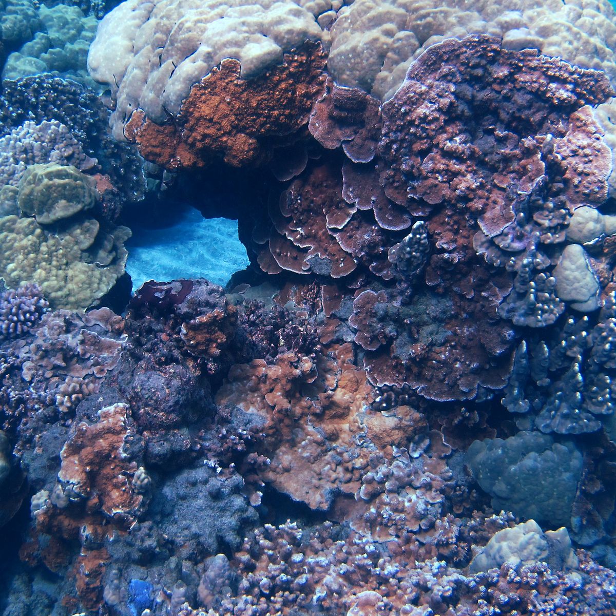 IMG_2179_sq.jpg