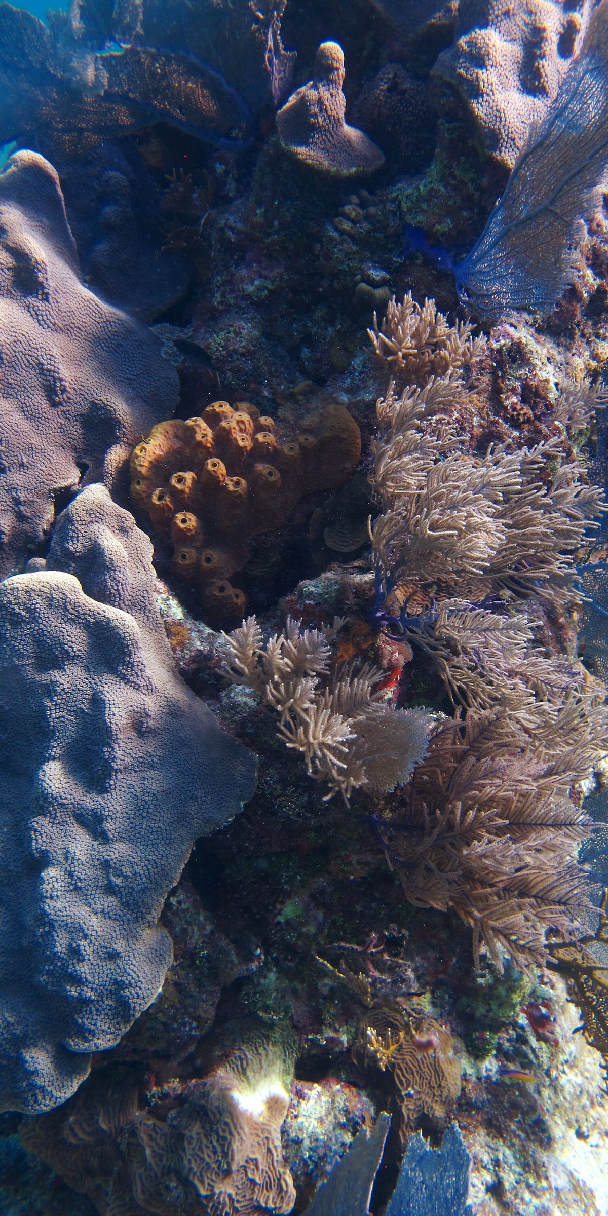 IMG_8254_12x24.jpg
