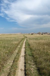 IMG_5107.jpg