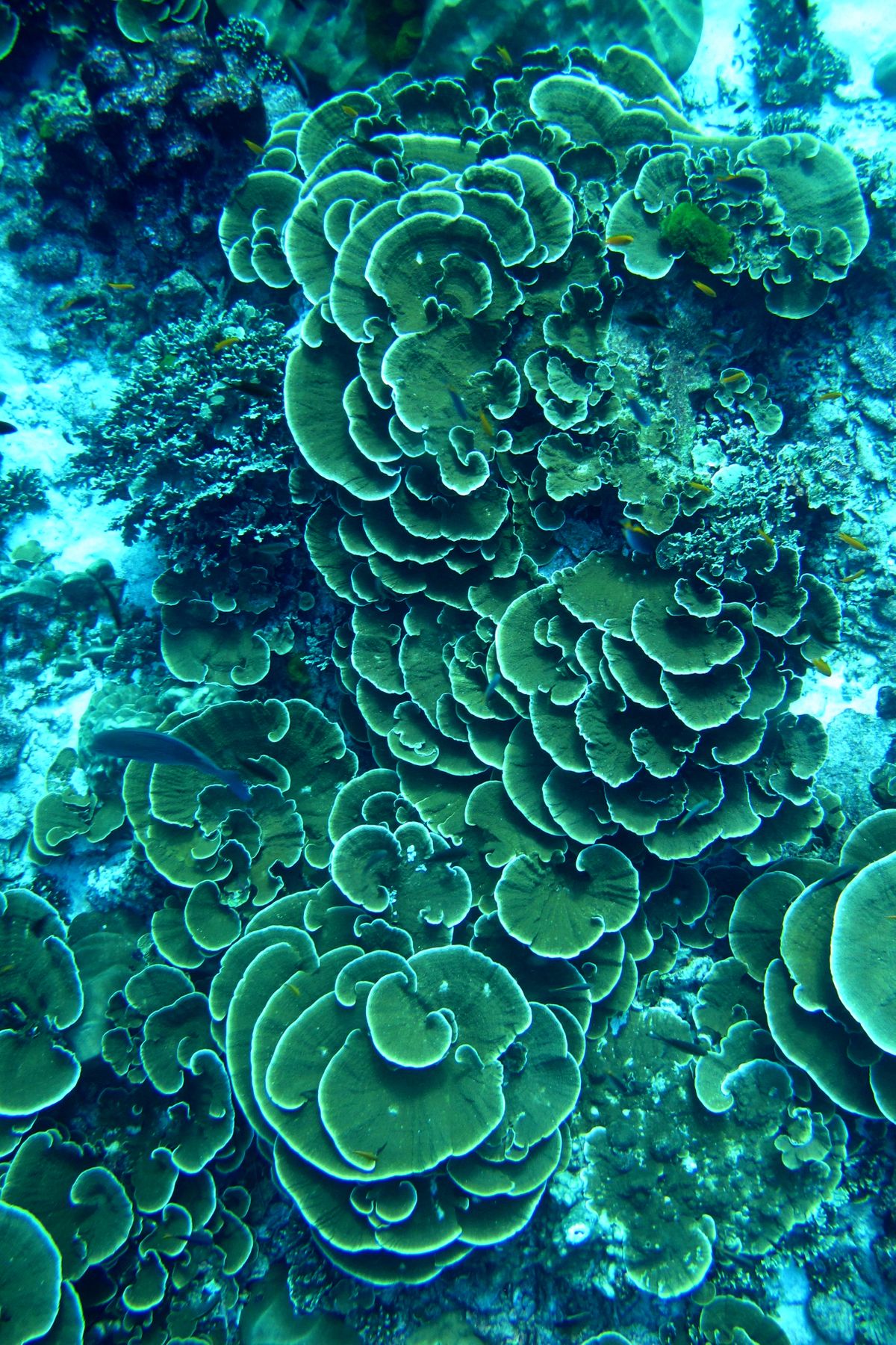 IMG_3605r.jpg