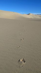 IMG_7937.JPG