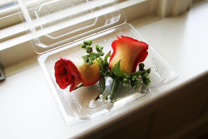 JY7N0015.jpg