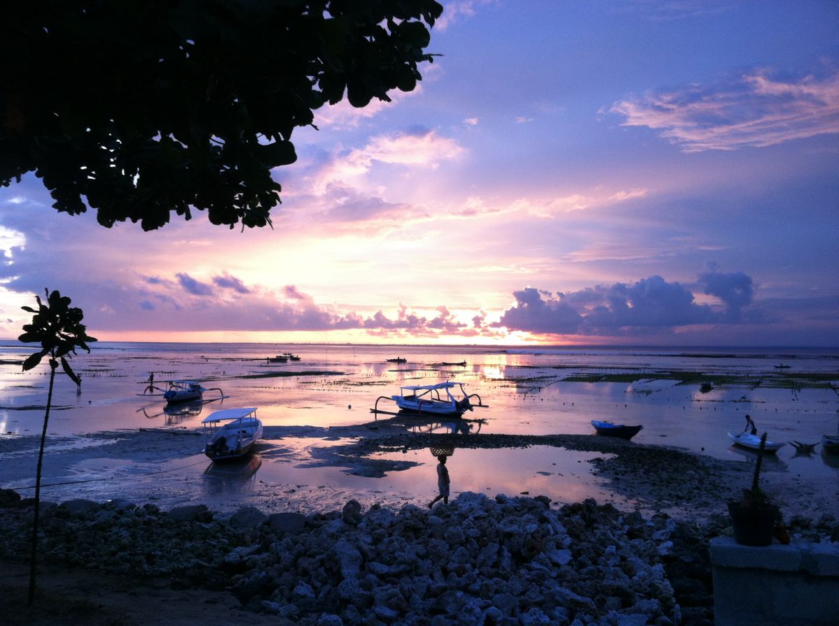 seaweedfarmsindo.JPG