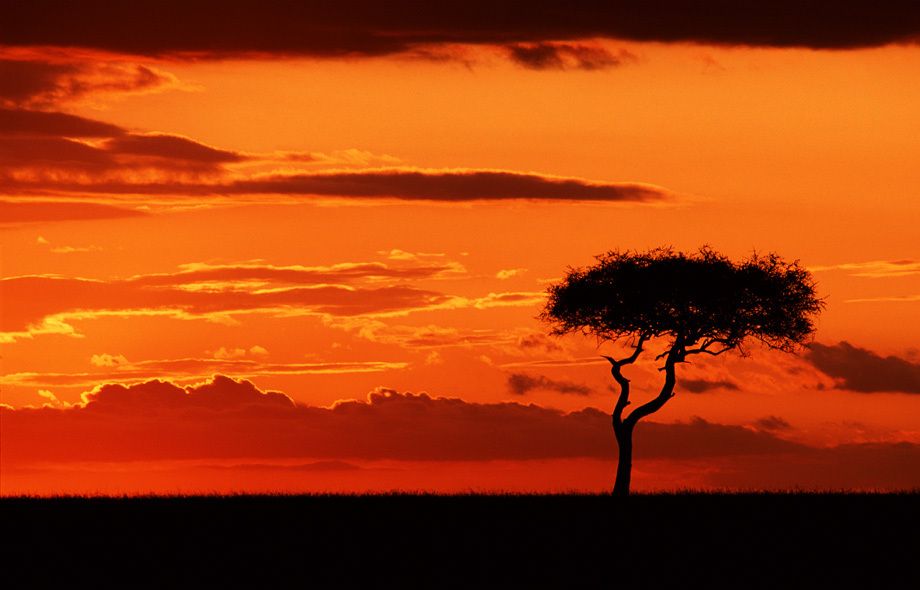 1african_sunset