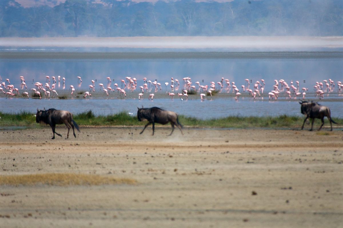 JULY 30 GIBBS FARM 374.jpg